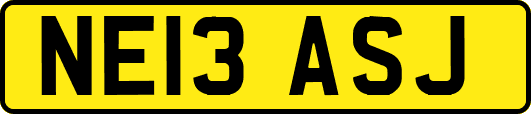NE13ASJ