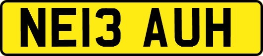 NE13AUH