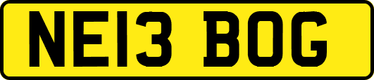 NE13BOG