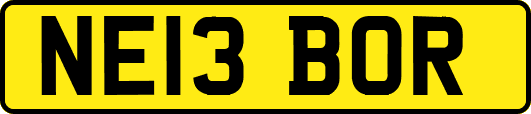 NE13BOR