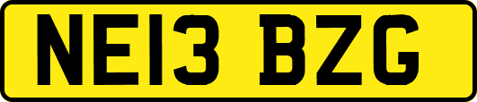 NE13BZG