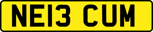 NE13CUM