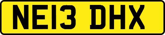NE13DHX