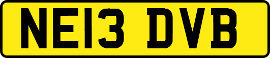 NE13DVB