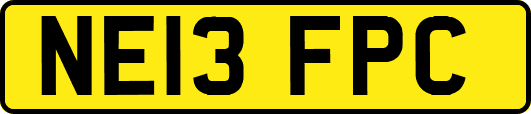 NE13FPC