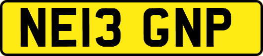 NE13GNP