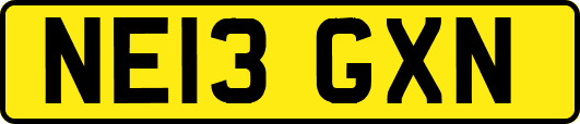 NE13GXN