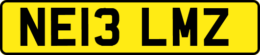 NE13LMZ