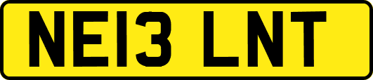 NE13LNT