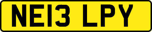 NE13LPY