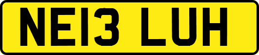 NE13LUH