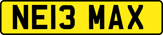 NE13MAX