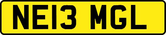 NE13MGL