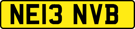 NE13NVB