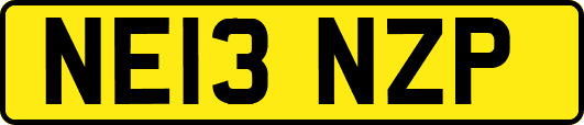 NE13NZP