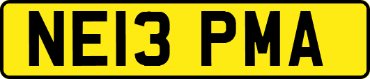 NE13PMA