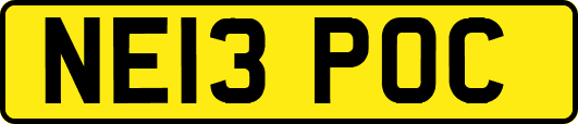 NE13POC