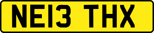NE13THX