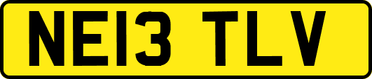 NE13TLV