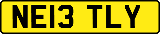NE13TLY