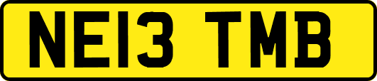 NE13TMB