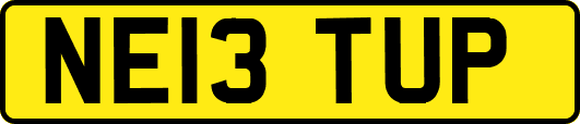 NE13TUP
