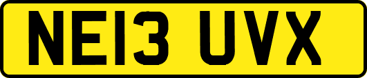 NE13UVX