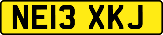 NE13XKJ