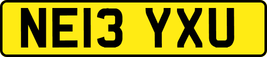 NE13YXU