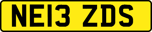 NE13ZDS