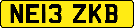 NE13ZKB