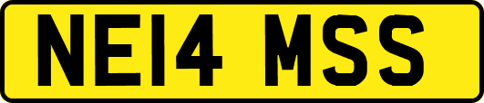 NE14MSS