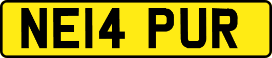 NE14PUR