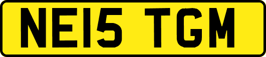 NE15TGM