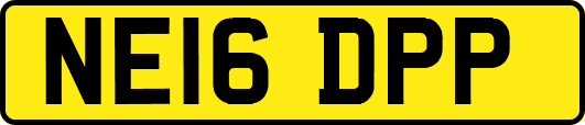 NE16DPP