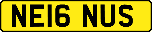 NE16NUS