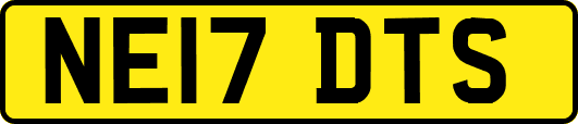 NE17DTS