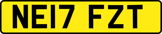 NE17FZT