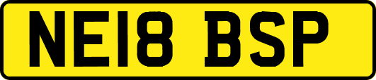 NE18BSP