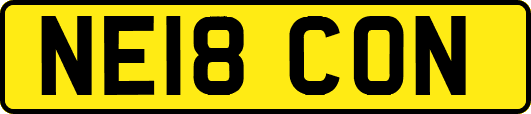 NE18CON