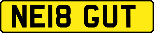 NE18GUT