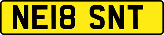 NE18SNT