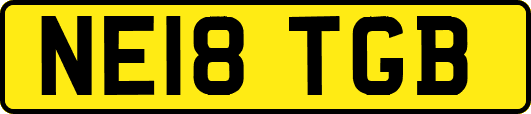 NE18TGB