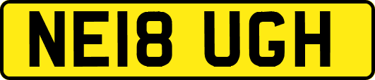 NE18UGH