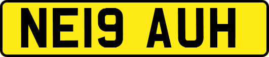 NE19AUH