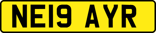 NE19AYR