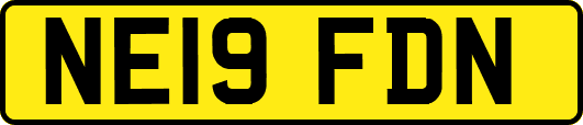 NE19FDN