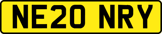 NE20NRY