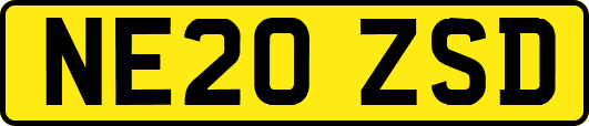 NE20ZSD