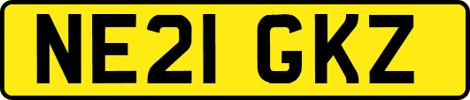 NE21GKZ